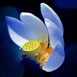 《黑色国度》DLSS4光追演示 画面逼真精美绝伦